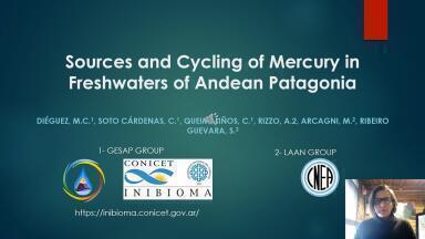 Sources and Cycling of Mercury in Freshwaters of Andean Patagonia